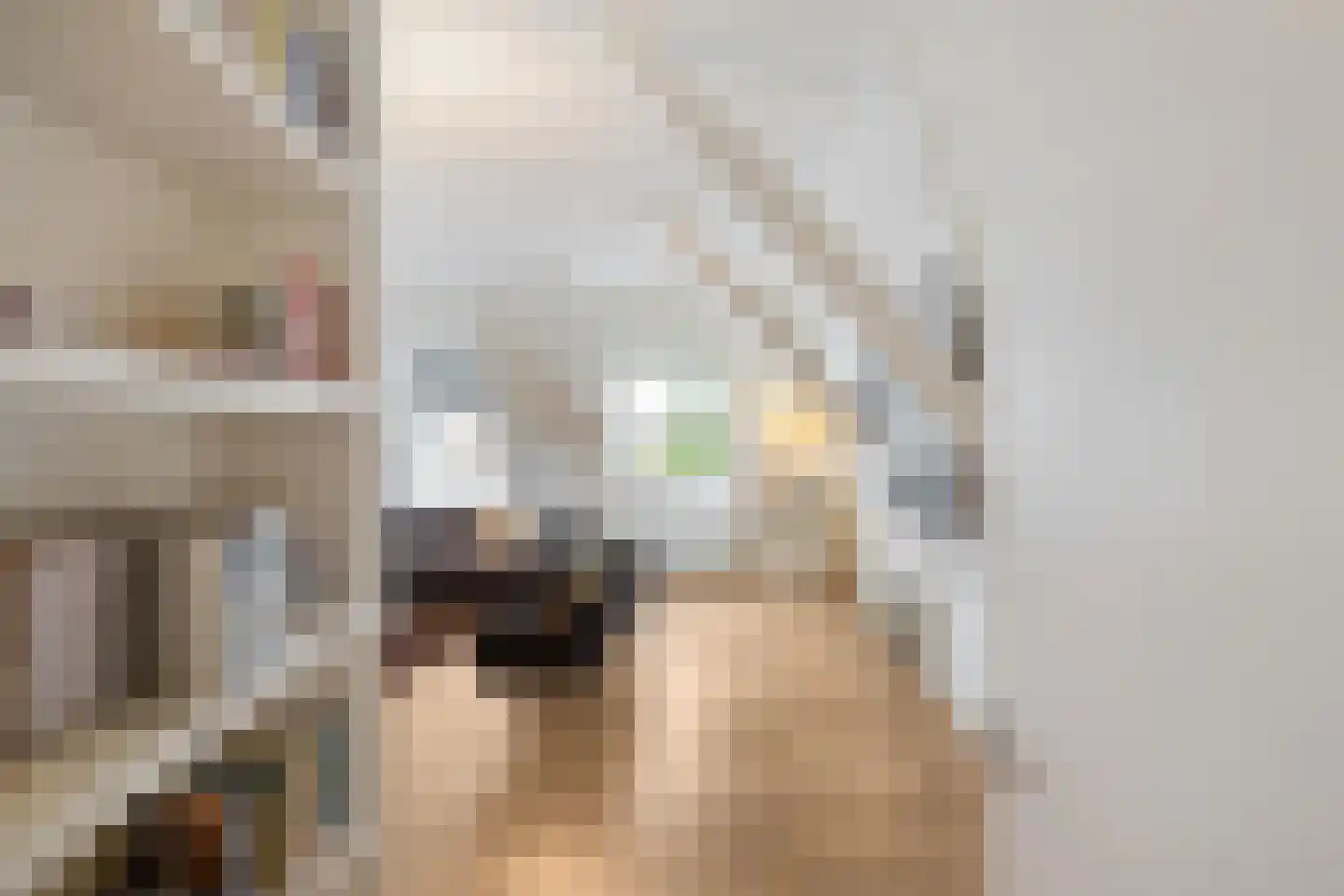 Ubbo Emmiussingel 37 d Groningen thumbnail 14