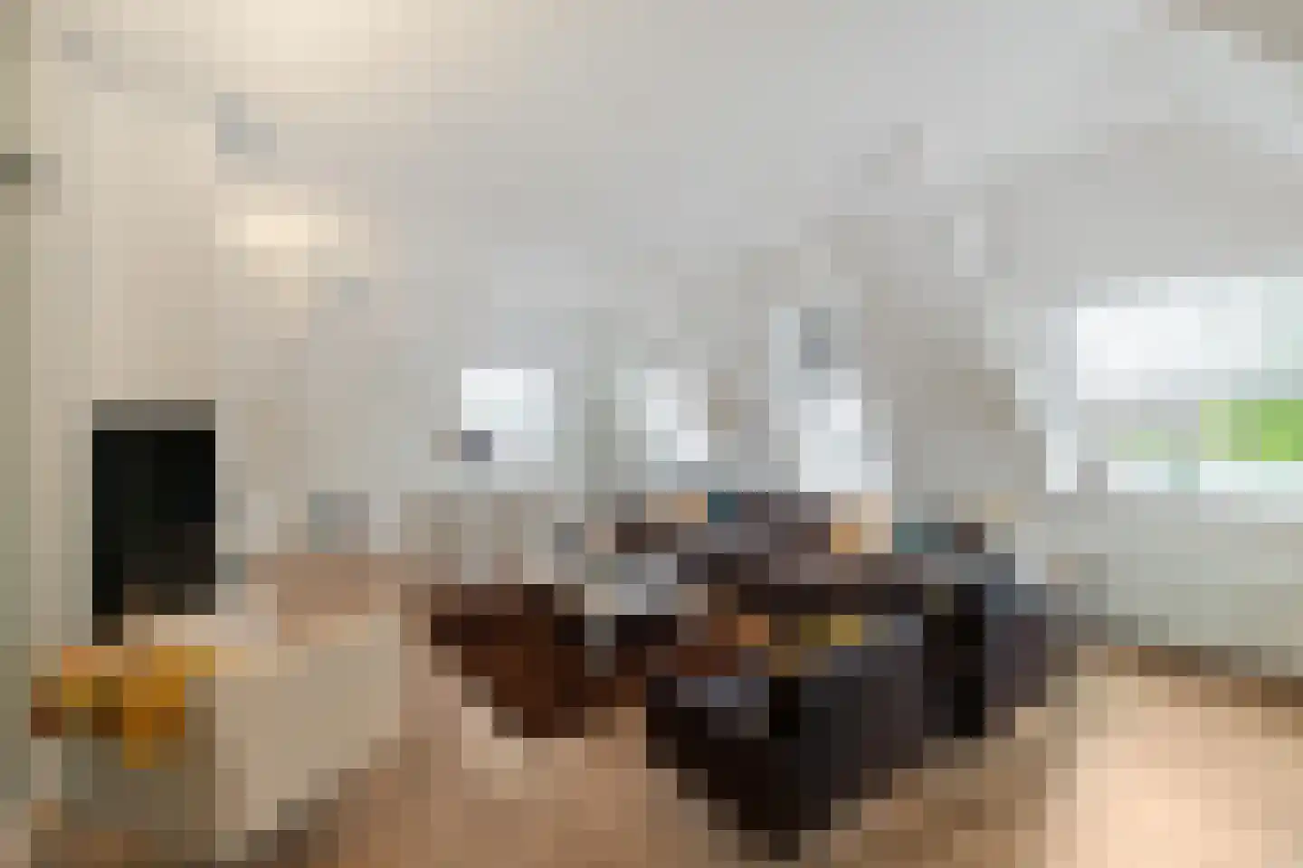 Ubbo Emmiussingel 37 d Groningen thumbnail 15