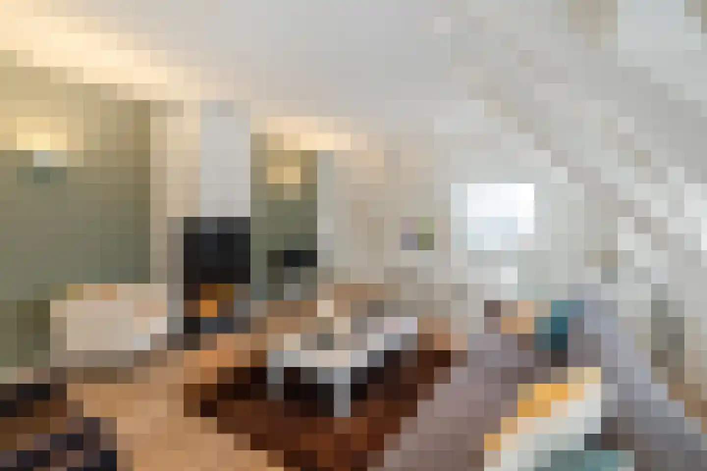 Ubbo Emmiussingel 37 d Groningen thumbnail 17