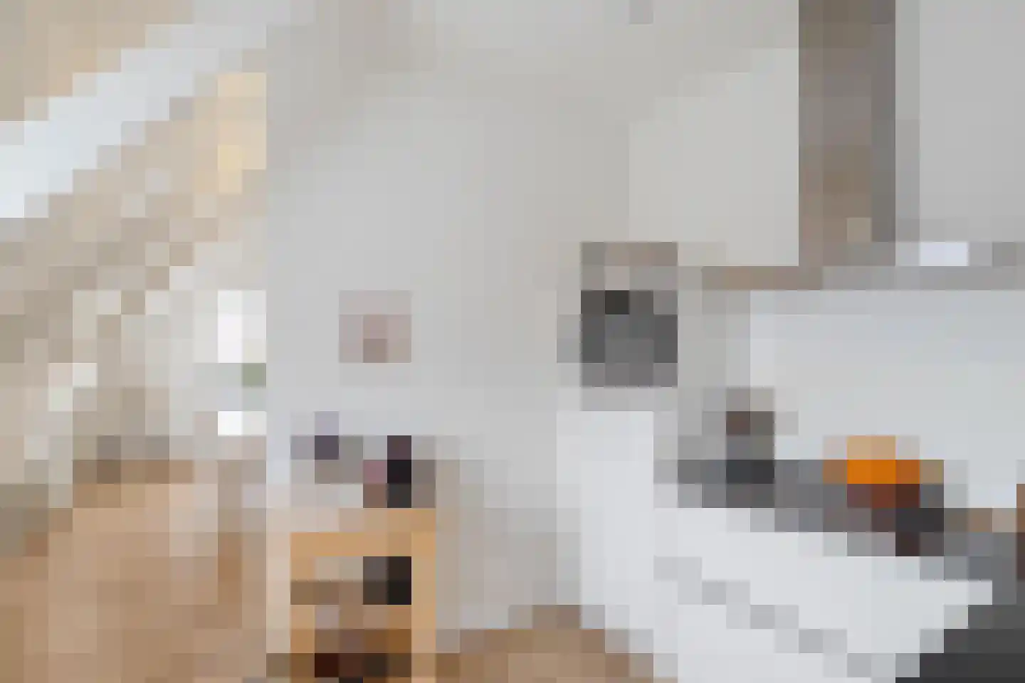 Ubbo Emmiussingel 37 d Groningen thumbnail 24