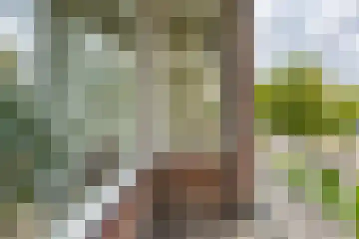 Ubbo Emmiussingel 45 b Groningen thumbnail 13