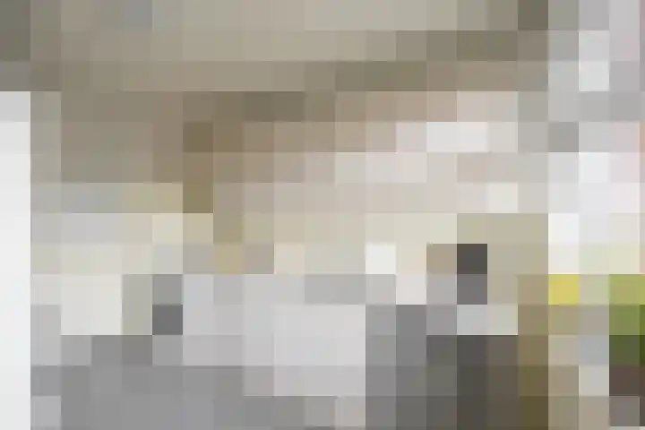 Ubbo Emmiussingel 45 b Groningen thumbnail 15