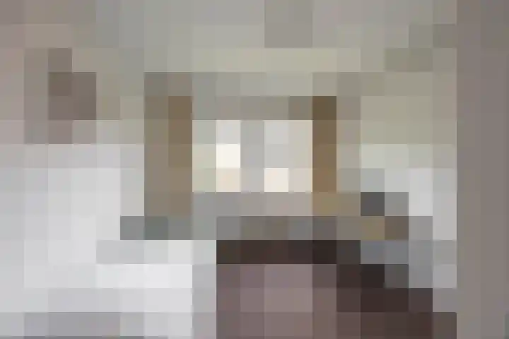 Ubbo Emmiussingel 45 b Groningen thumbnail 20