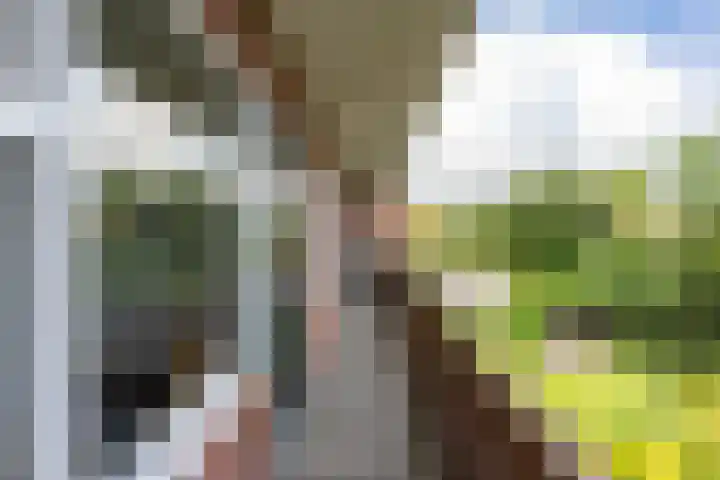 Ubbo Emmiussingel 45 b Groningen thumbnail 25