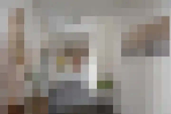 Ubbo Emmiussingel 45 b Groningen thumbnail 6