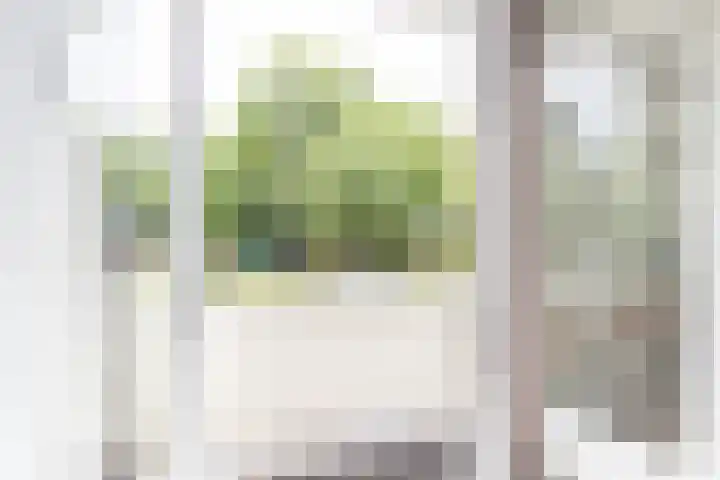Ubbo Emmiussingel 49 Groningen thumbnail 15