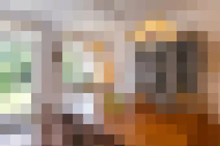 Ubbo Emmiussingel 49 Groningen thumbnail 24