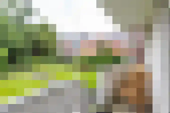 Ubbo Emmiussingel 49 Groningen thumbnail 25