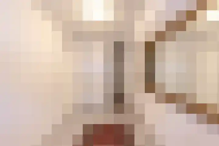 Ubbo Emmiussingel 49 Groningen thumbnail 34