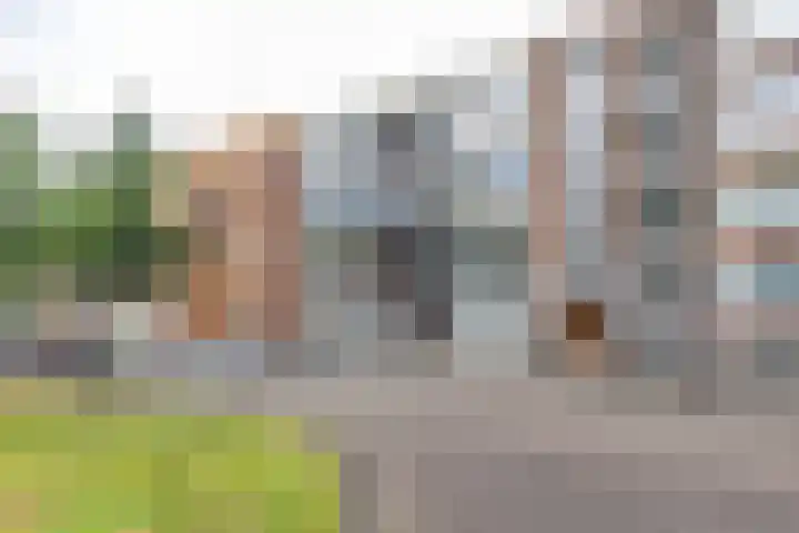 Ubbo Emmiussingel 49 Groningen thumbnail 4