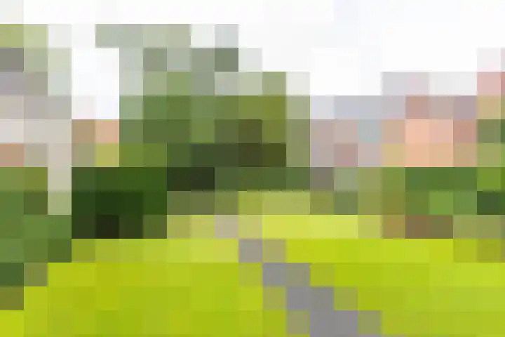Ubbo Emmiussingel 49 Groningen thumbnail 41