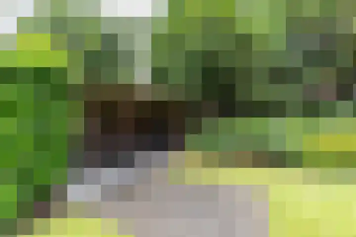 Ubbo Emmiussingel 49 Groningen thumbnail 42