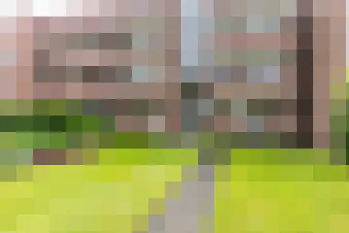 Ubbo Emmiussingel 49 Groningen thumbnail 43