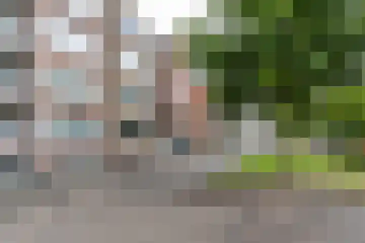 Ubbo Emmiussingel 49 Groningen thumbnail 45