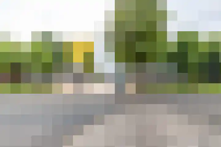 Ubbo Emmiussingel 49 Groningen thumbnail 46