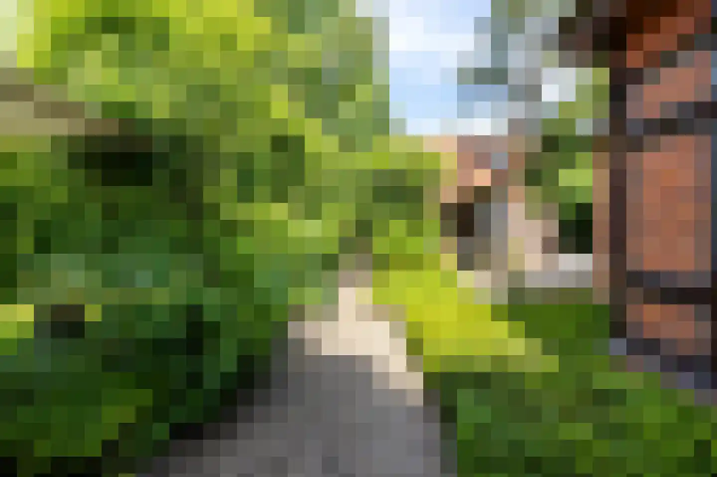 Ubbo Emmiussingel 51 Groningen thumbnail 10