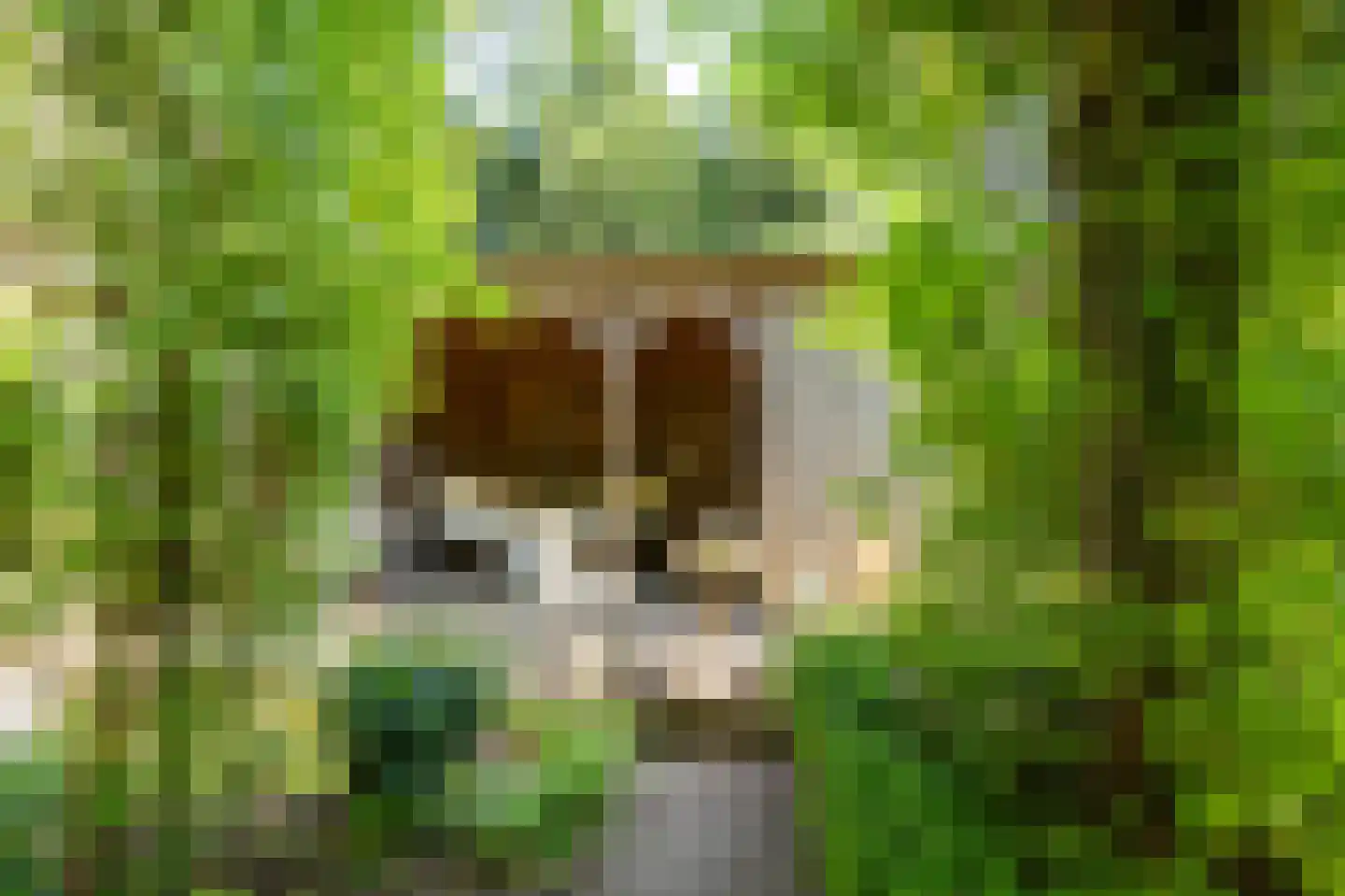 Ubbo Emmiussingel 51 Groningen thumbnail 12