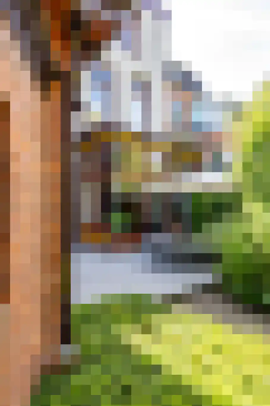 Ubbo Emmiussingel 51 Groningen thumbnail 13