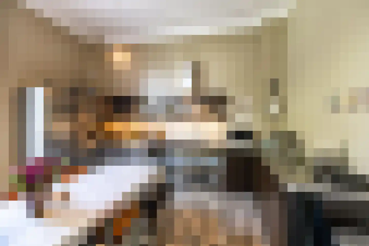 Ubbo Emmiussingel 51 Groningen thumbnail 16