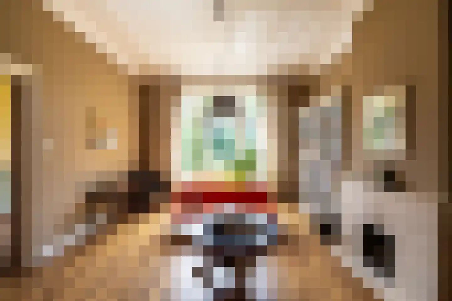 Ubbo Emmiussingel 51 Groningen thumbnail 23
