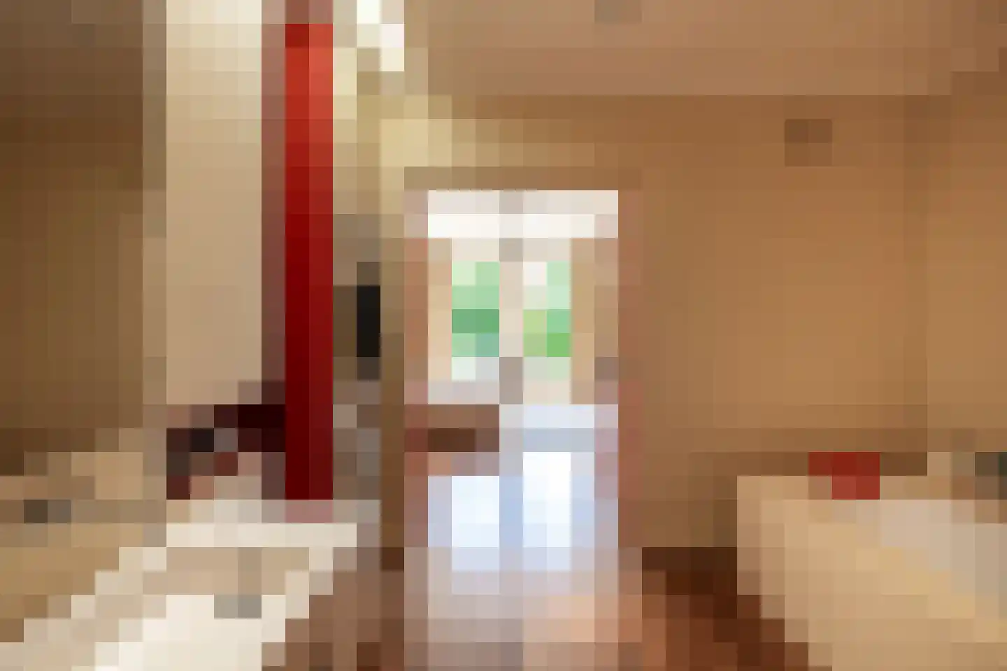 Ubbo Emmiussingel 51 Groningen thumbnail 33