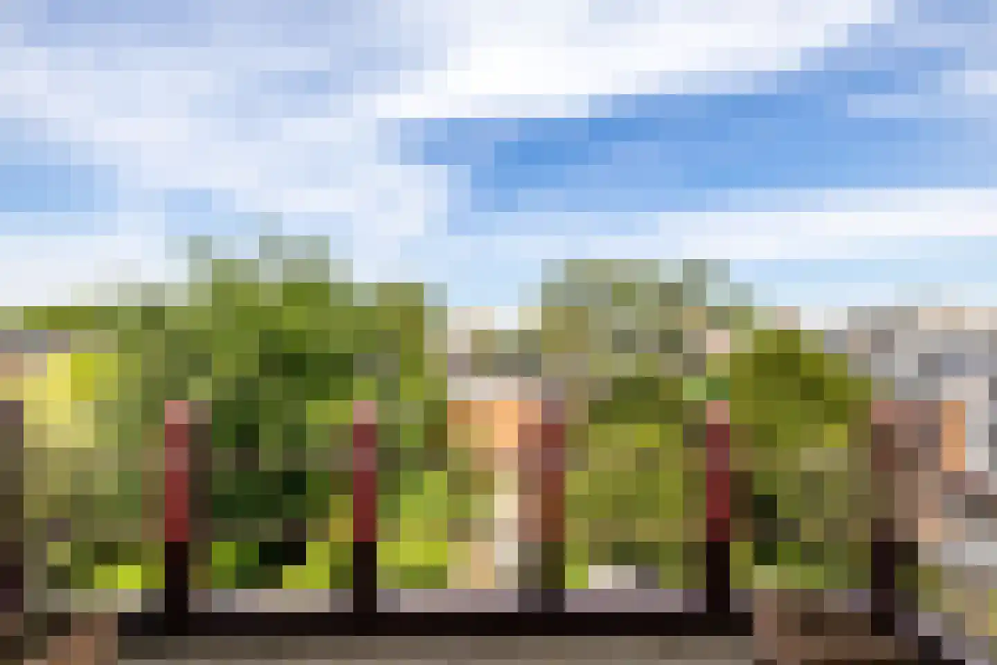 Ubbo Emmiussingel 51 Groningen thumbnail 36