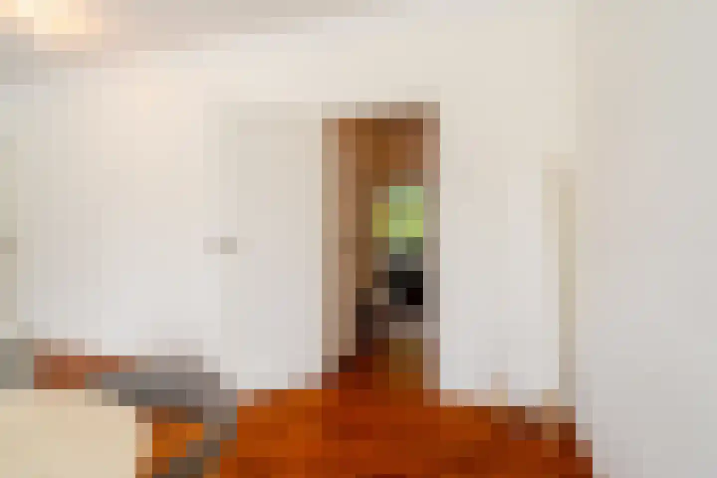 Ubbo Emmiussingel 7 Groningen thumbnail 19
