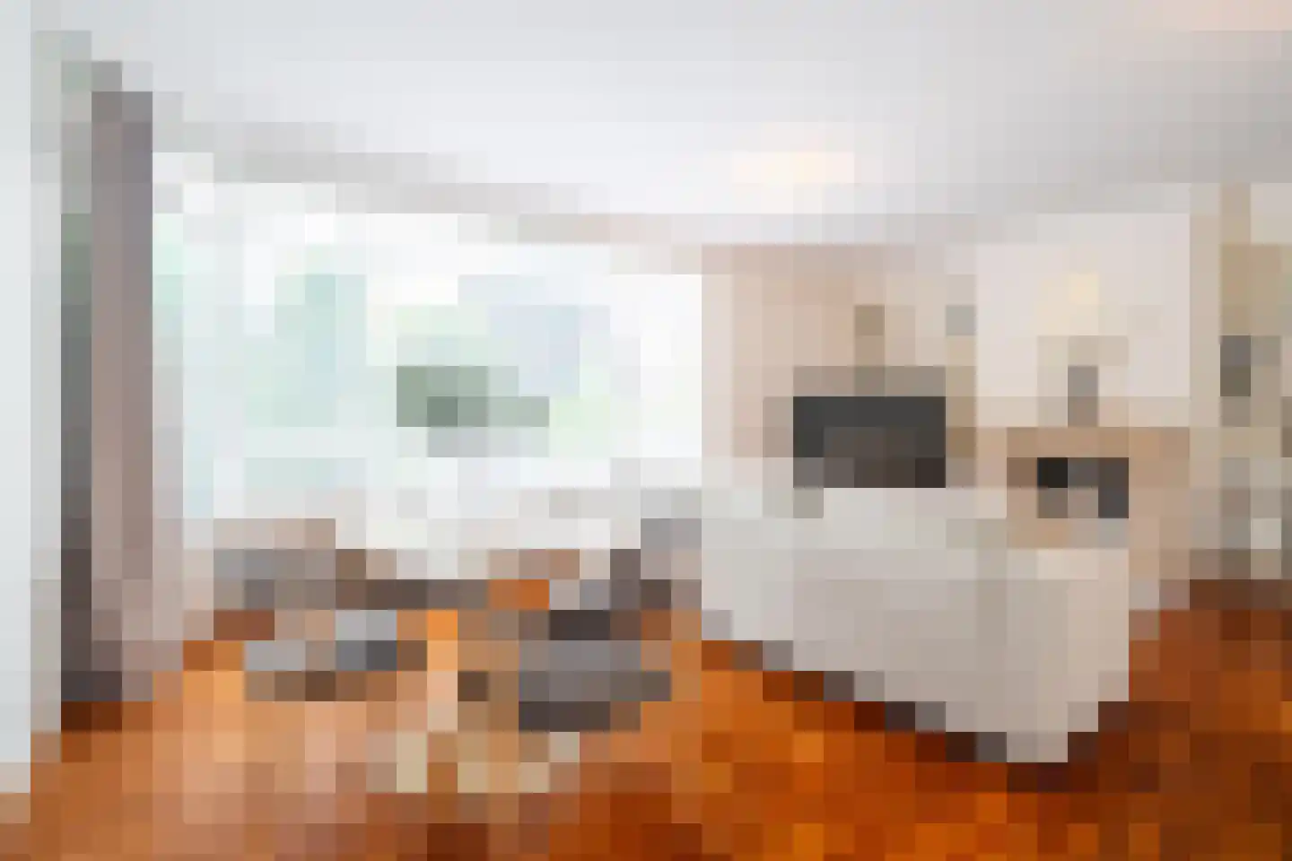 Ubbo Emmiussingel 7 Groningen thumbnail 20