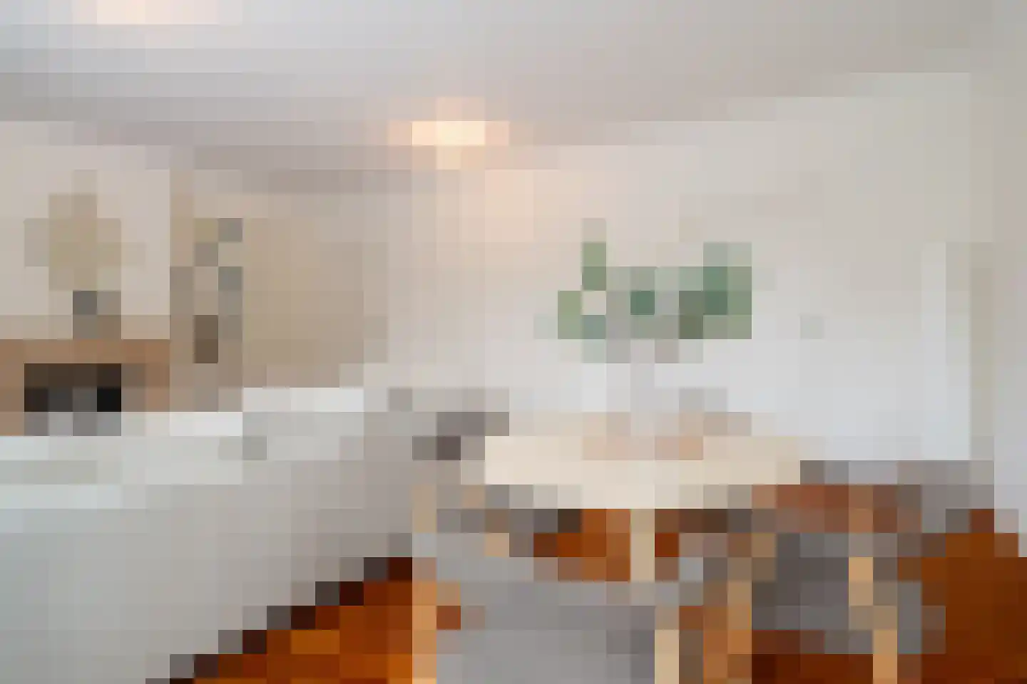 Ubbo Emmiussingel 7 Groningen thumbnail 22