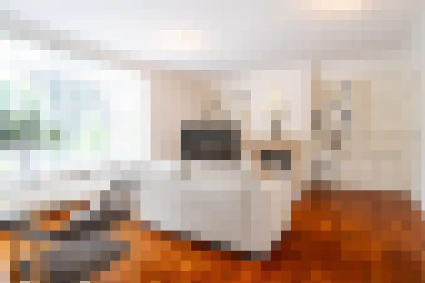 Ubbo Emmiussingel 7 Groningen thumbnail 25
