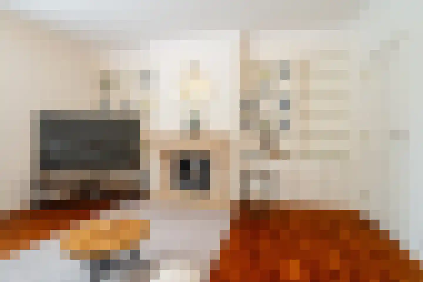Ubbo Emmiussingel 7 Groningen thumbnail 33