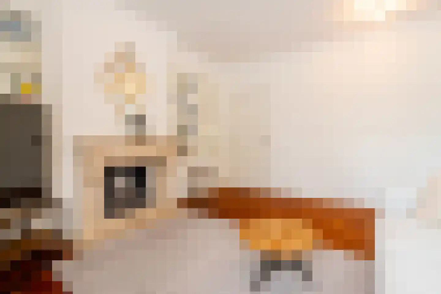 Ubbo Emmiussingel 7 Groningen thumbnail 34