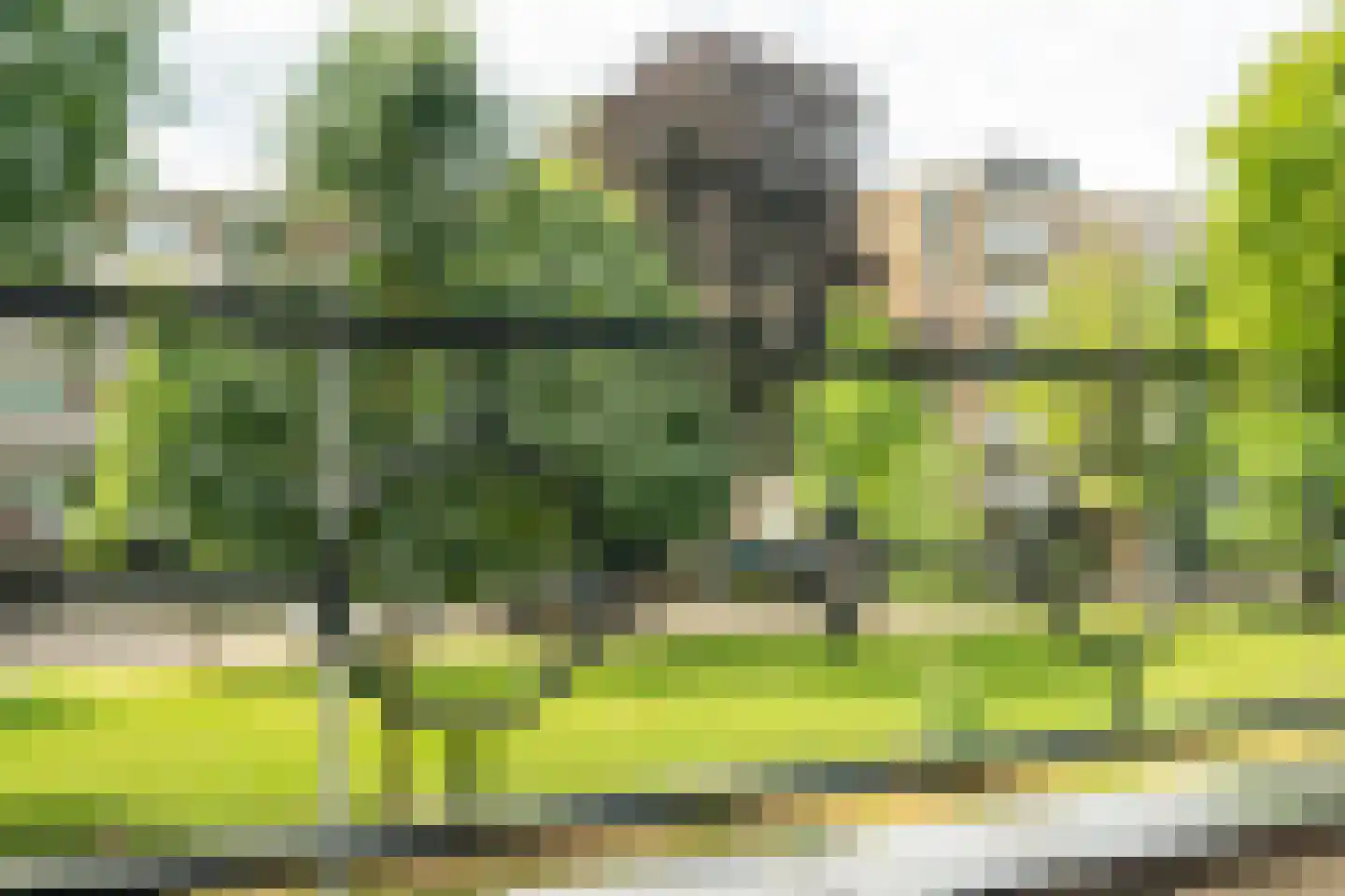Ubbo Emmiussingel 7 Groningen thumbnail 50