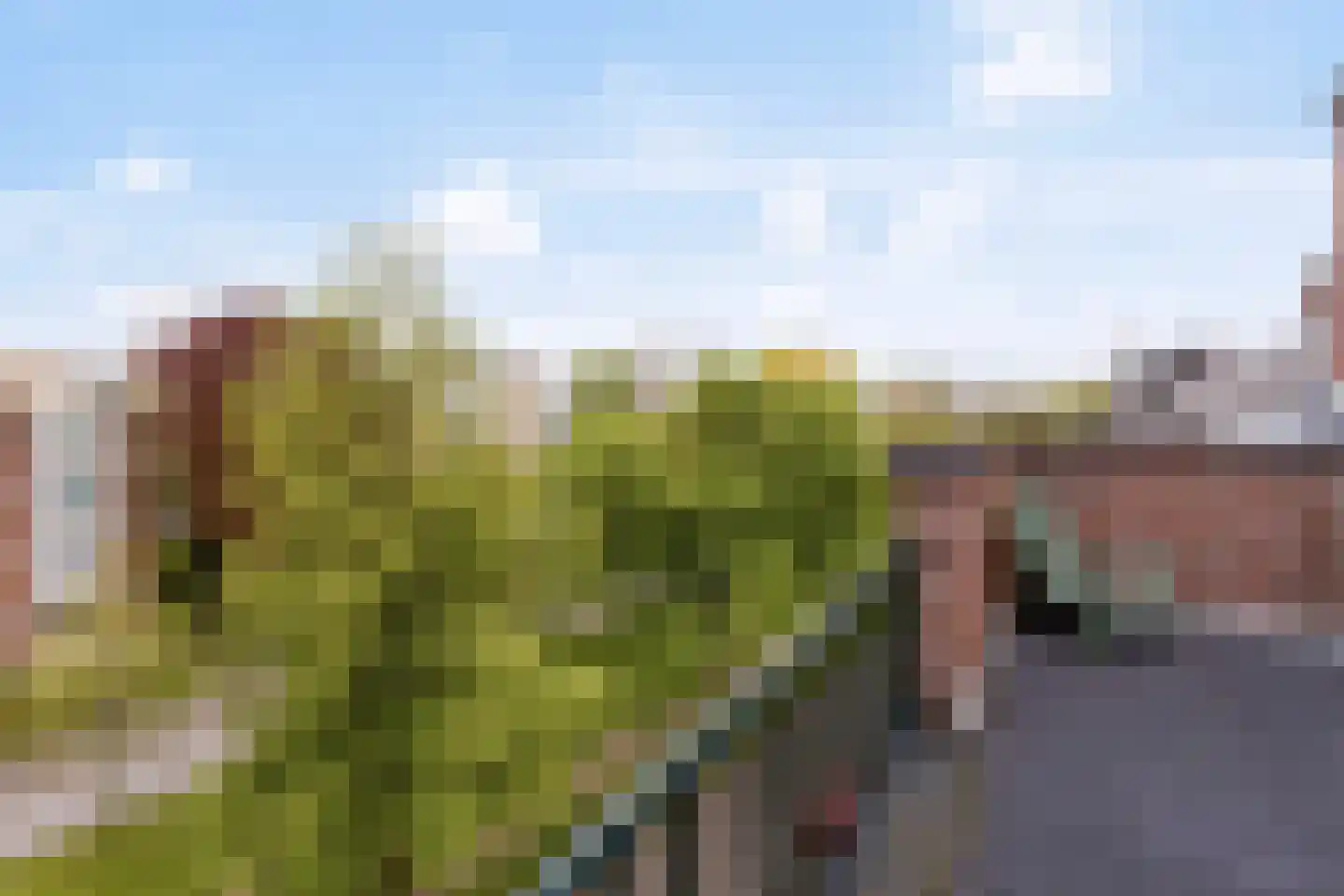 Ubbo Emmiussingel 7 Groningen thumbnail 63
