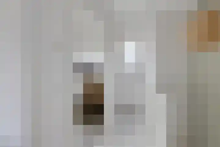 Ubbo Emmiusstraat 18 Sneek thumbnail 17