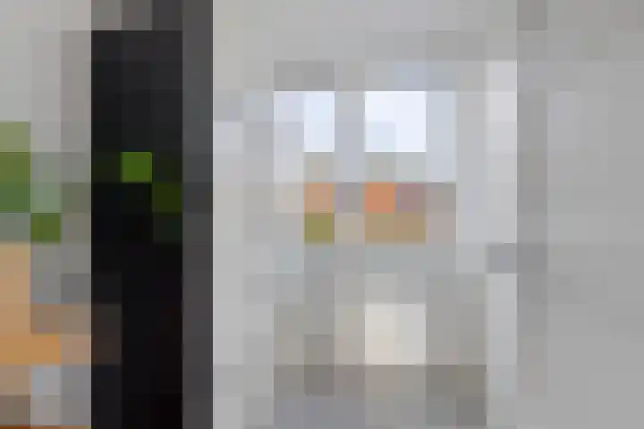 Ubbo Emmiusstraat 18 Sneek thumbnail 18