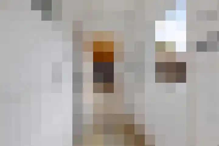 Ubbo Emmiusstraat 18 Sneek thumbnail 30