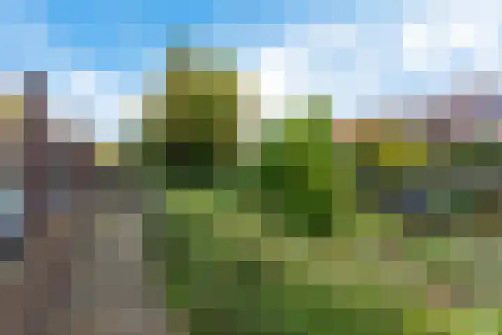 Ubbo Emmiusstraat 18 Sneek thumbnail 33