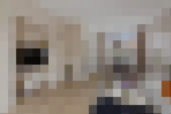 Ubbo Emmiusstraat 18 Sneek thumbnail 7