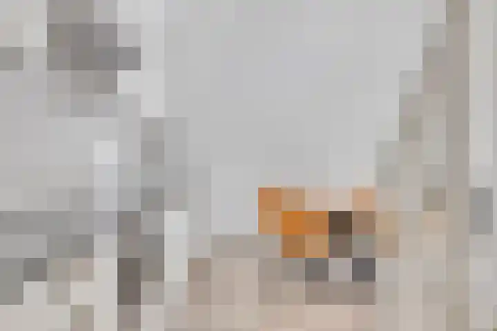 Ubbo Emmiusstraat 23 Groningen thumbnail 5