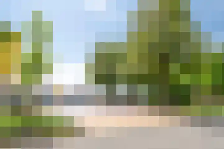 Ubbo Emmiusstraat 29 Groningen thumbnail 12