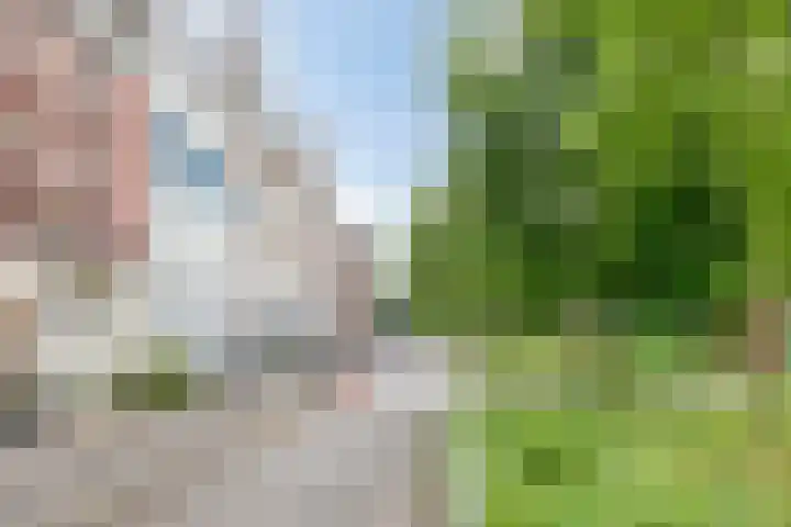 Ubbo Emmiusstraat 29 Groningen thumbnail 15