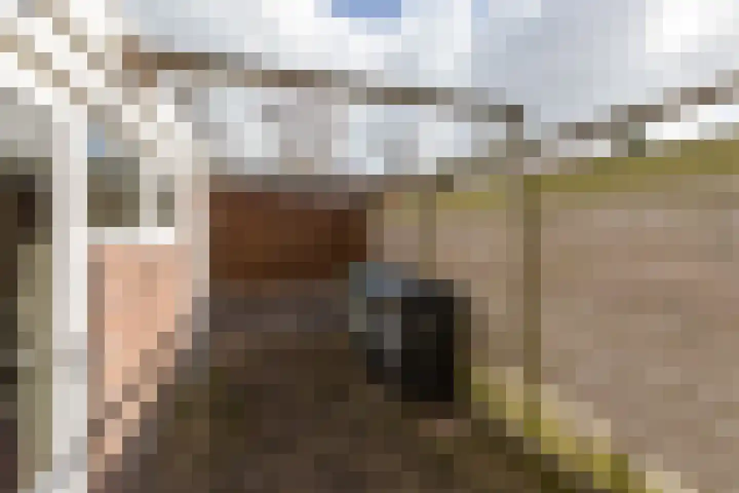 Ubbo Emmiusstraat 32 Sneek thumbnail 25