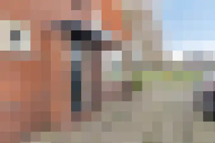 Ubbo Wilkensstraat 14 Veendam thumbnail 8