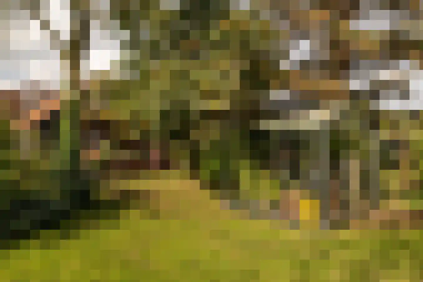 Uddelerveen 52 Uddel thumbnail 11