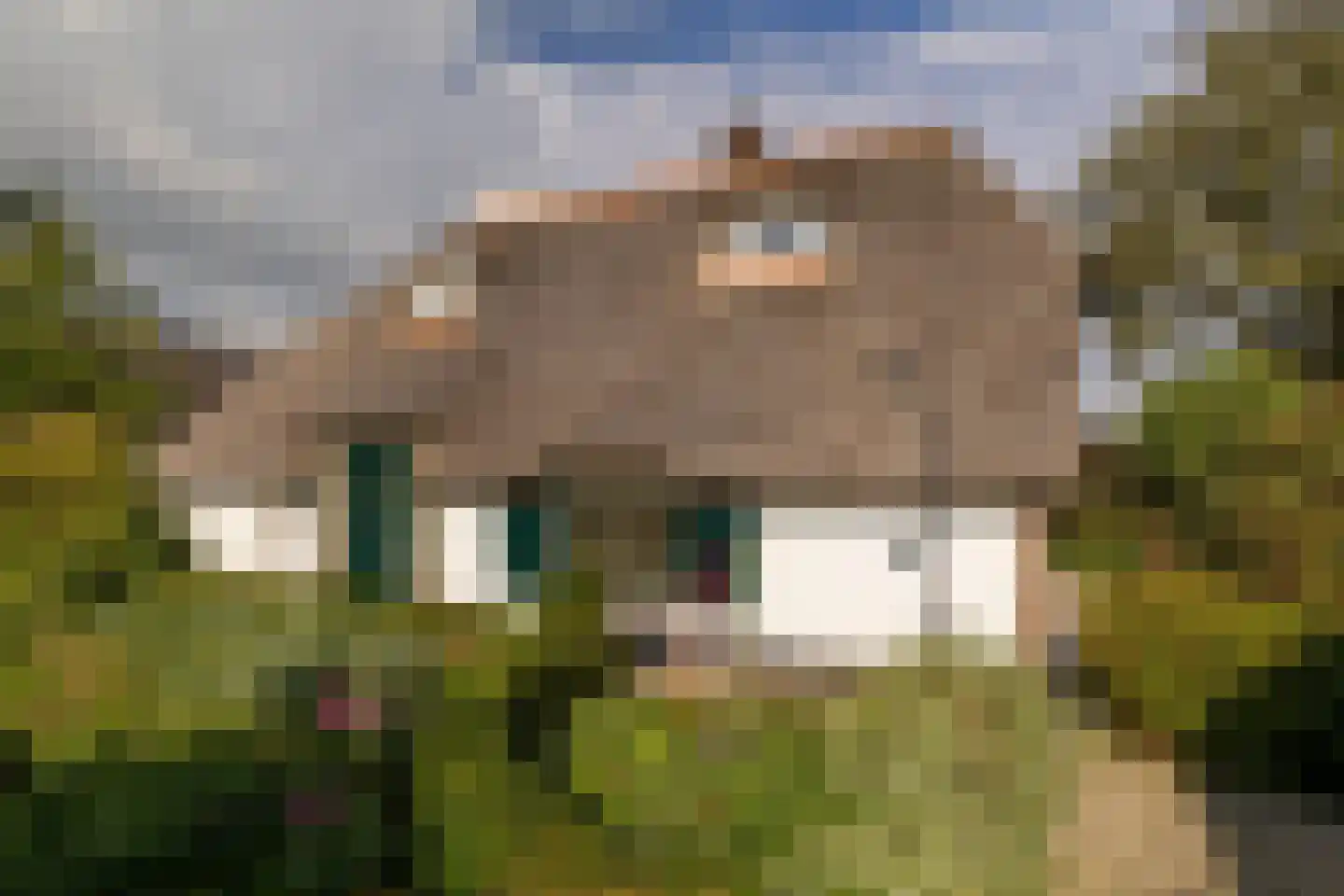 Uddelerveen 52 Uddel thumbnail 12