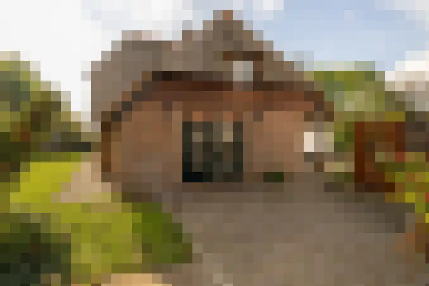 Uddelerveen 52 Uddel thumbnail 15