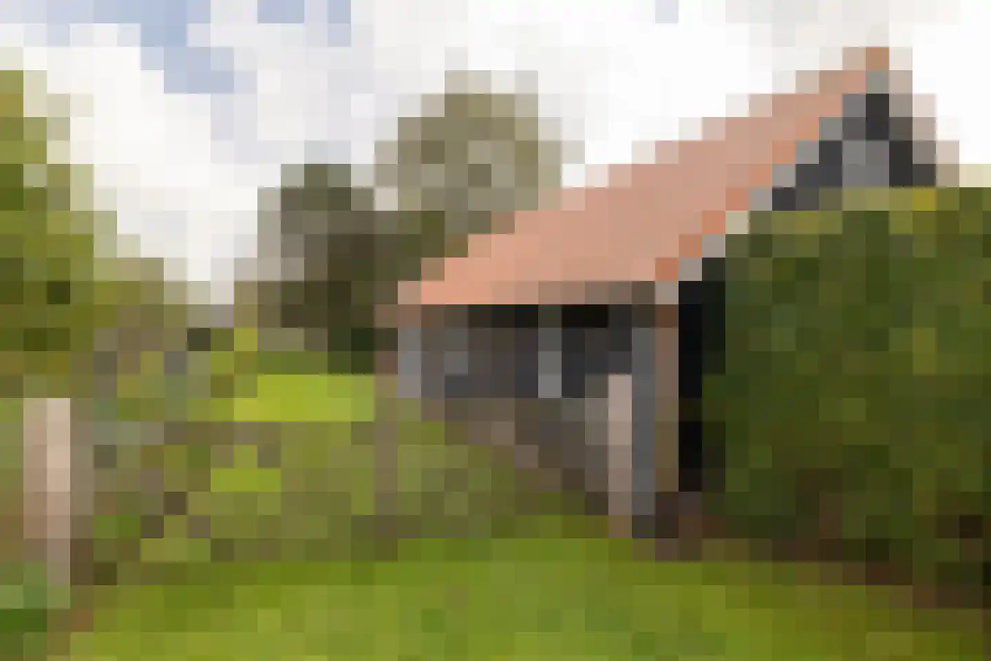 Uddelerveen 52 Uddel thumbnail 17