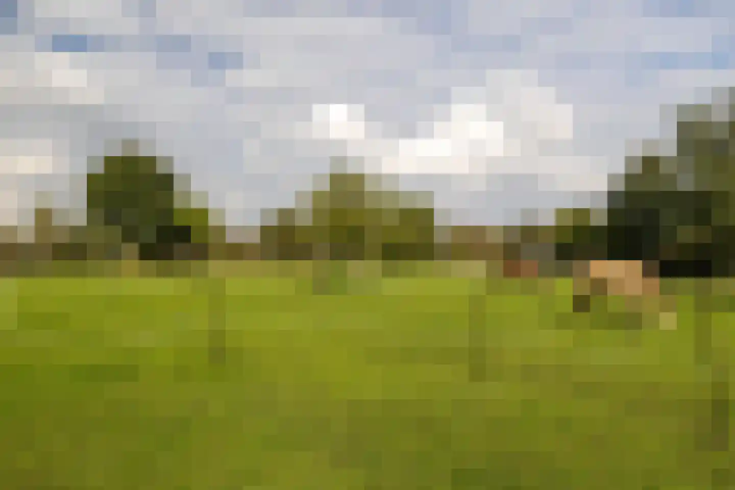 Uddelerveen 52 Uddel thumbnail 20