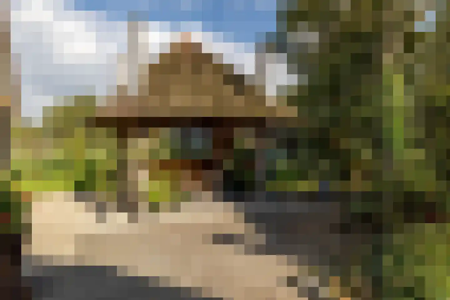 Uddelerveen 52 Uddel thumbnail 56